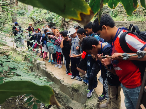 Hiking in Griffith Park with Vanalden Elementary School