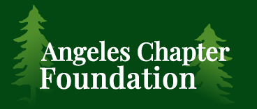 Angeles Chapter Foundation logo